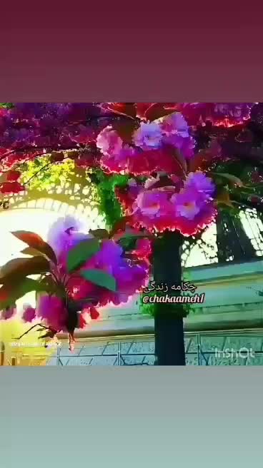 گوشی نوکیا در حدنو|موبایل|رشت, لاکان شهر|دیوار