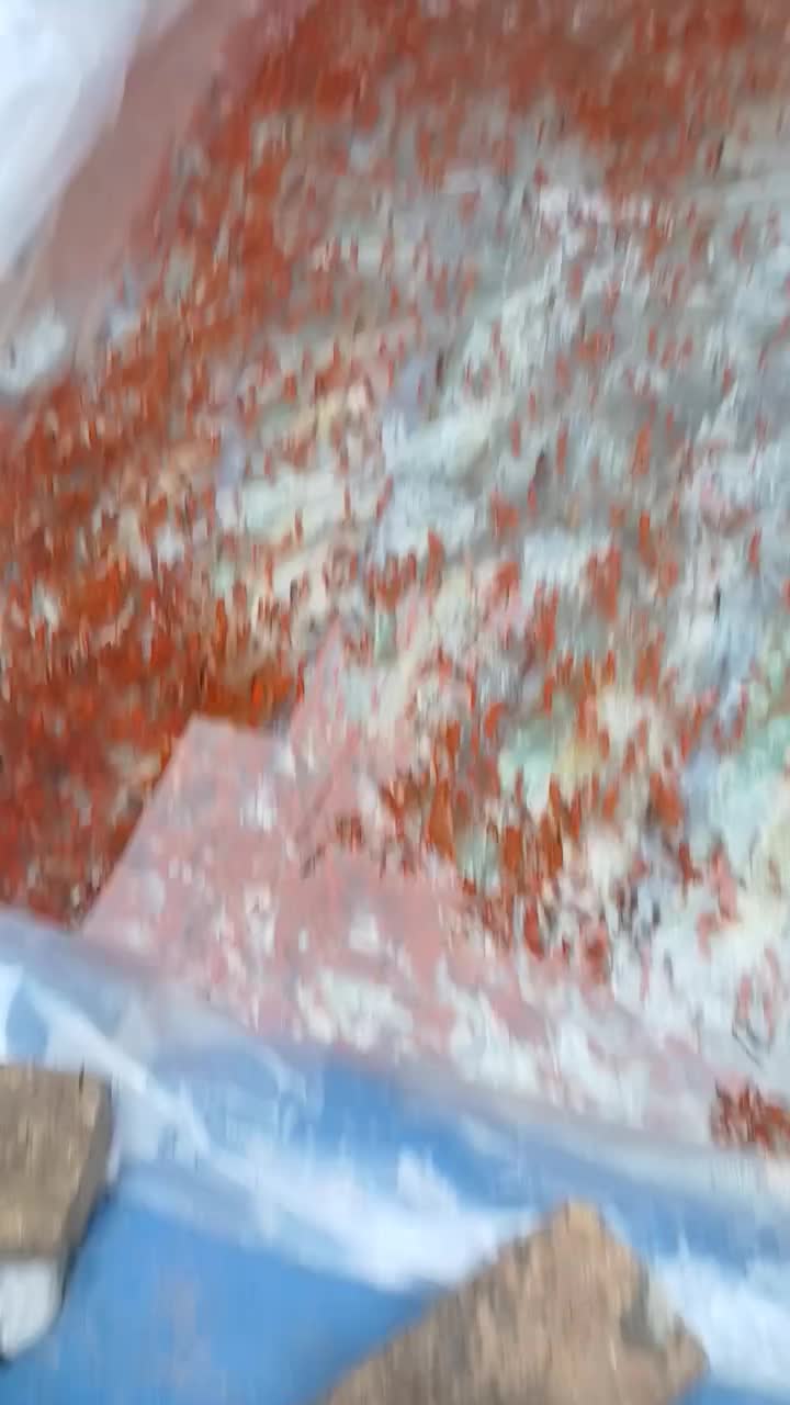 ماهی قرمز|ماهی|علی‌آباد کتول, |دیوار