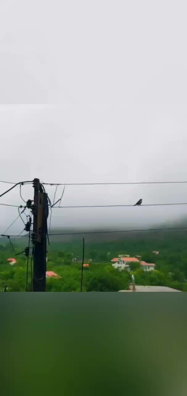 اجاره روزانه ویلا بوژان|اجارهٔ کوتاهمدت ویلا و باغ|نیشابور, فضل|دیوار