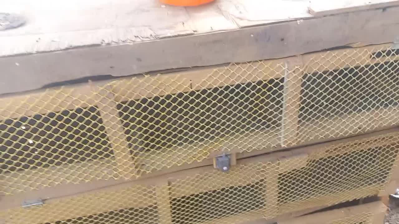 حمیدیه|لوازم جانبی حیوانات|حمیدیه, |دیوار