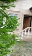 ویلا ساحلی ۲۰۰متری،تاپ لوکیشن، خوش قیمت|فروش خانه و ویلا|رشت, گلسار|دیوار