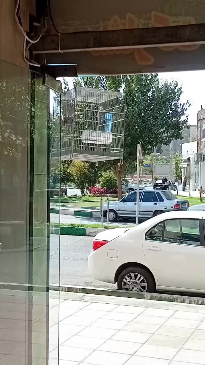 سهره قفس|پرنده|قرچک, شهرک طلائیه|دیوار