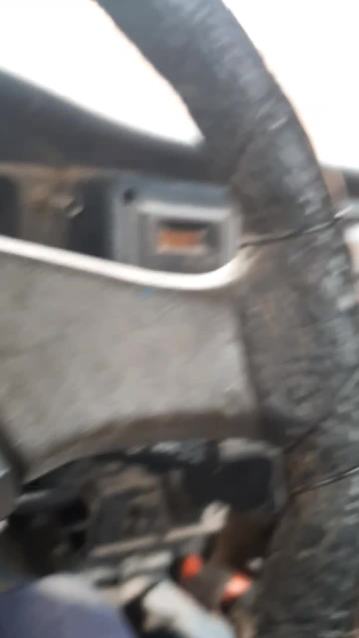 سگ نگهبان تربیت شده . ژرمن|سگ|خور (اصفهان), |دیوار