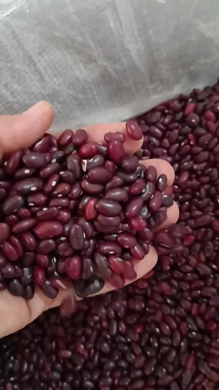 لوبیاو عدس ریز عدس درشت ولپه ونخودولوبیاچیتی وعسل|خوردنی و آشامیدنی|شیراز, قلعه نو|دیوار