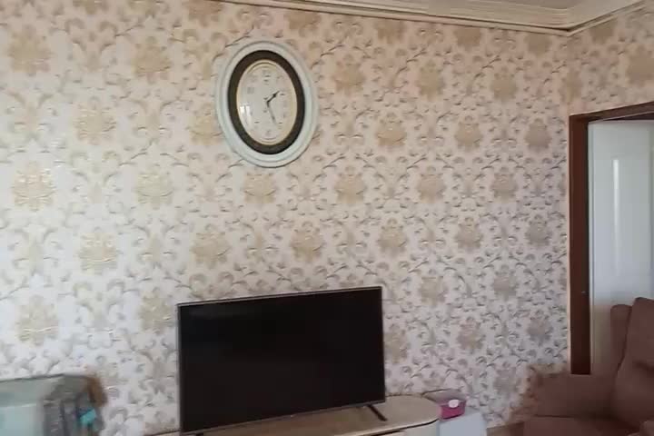 مشاور املاک املاک دو شعبه بهترین از ما بخواهید|فعالیت داوطلبانه|زاهدان, |دیوار