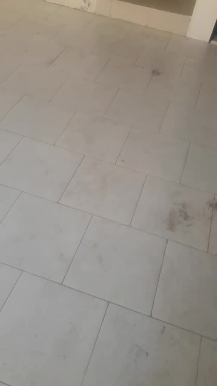 اپارتمان نقلی|فروش آپارتمان|مشهد, هنرور|دیوار