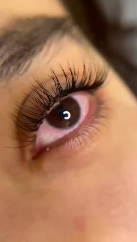 مدل جهت اکستنشن مژه و لیفت و لمینت مژه و ابرو|خدمات آرایشگری و زیبایی|پیشوا, |دیوار