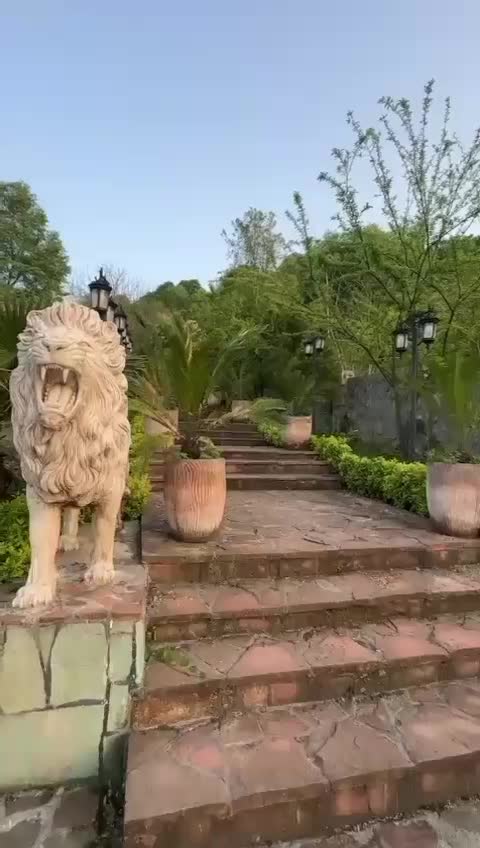 اجاره عمارت تریپلکس استخر دار جنگلی روی کوه|اجارهٔ کوتاهمدت ویلا و باغ|فومن, |دیوار