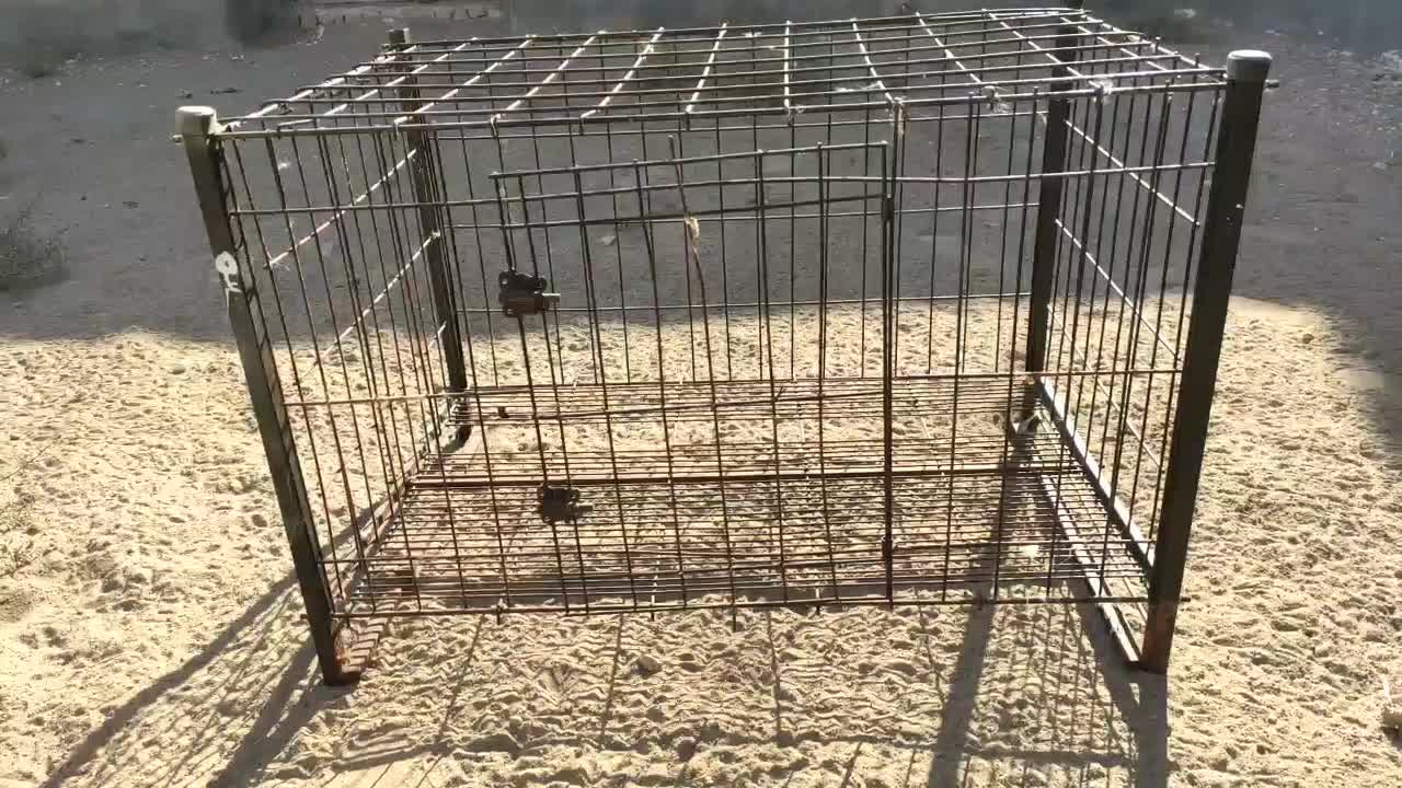 فروش تعدادی قفس نو و کارکرده سگ وگربه و مرغ و خروس|لوازم جانبی حیوانات|بادرود, |دیوار