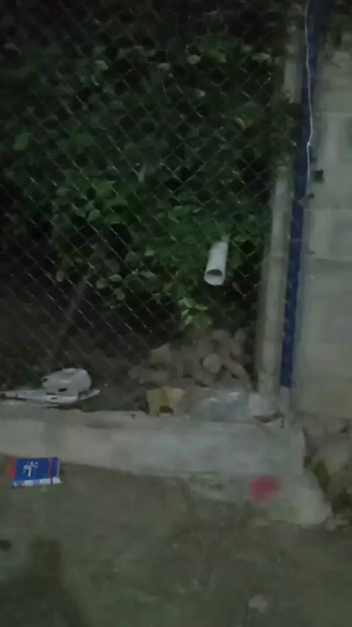 فنسکشیوتمامکارهایهباغهابااستاندادانجاممیشه|خدمات باغبانی و درختکاری|اهر, |دیوار