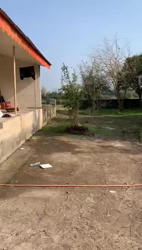 5100مترزمین مسکونی باغی وشالیزار۵دقیقه ساحل|فروش زمین و ملک کلنگی|رشت, منظریه|دیوار