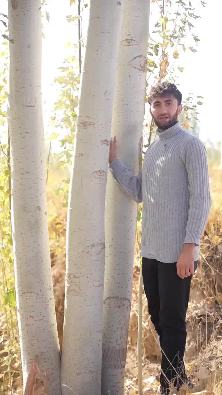 تولید نهال کبوده غیر مثمر|خدمات باغبانی و درختکاری|لردگان, |دیوار