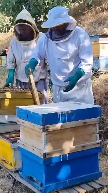 عسل طبیعی کردستان|خوردنی و آشامیدنی|اهواز, عین ۲|دیوار