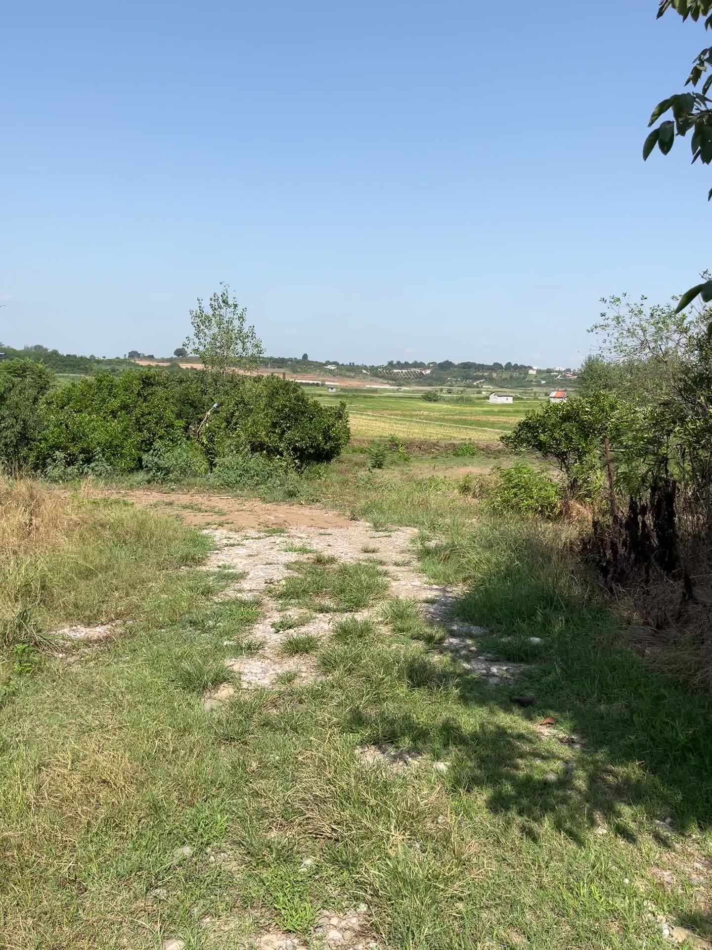 فروش زمین۲۳۳ متری با کاربری مسکونی در روستای واسکس|فروش زمین و ملک کلنگی|قائم‌شهر, |دیوار