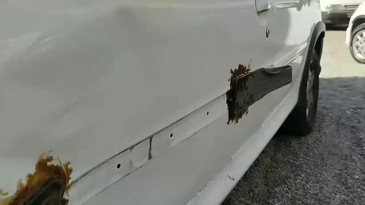 صافکاری پی دی ار|خدمات موتور و ماشین|مشهد, دانش|دیوار