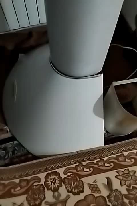 فروش هود|هود|صومعه‌سرا, |دیوار