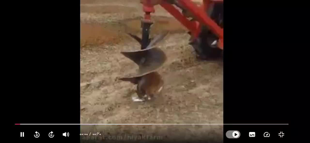 چاله کنی با تراکتور|خدمات باغبانی و درختکاری|رزن, |دیوار