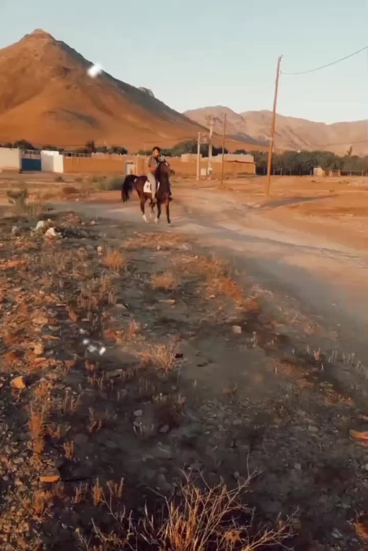 اسب کرد|اسب و تجهیزات اسب‌سواری|باقرشهر, |دیوار