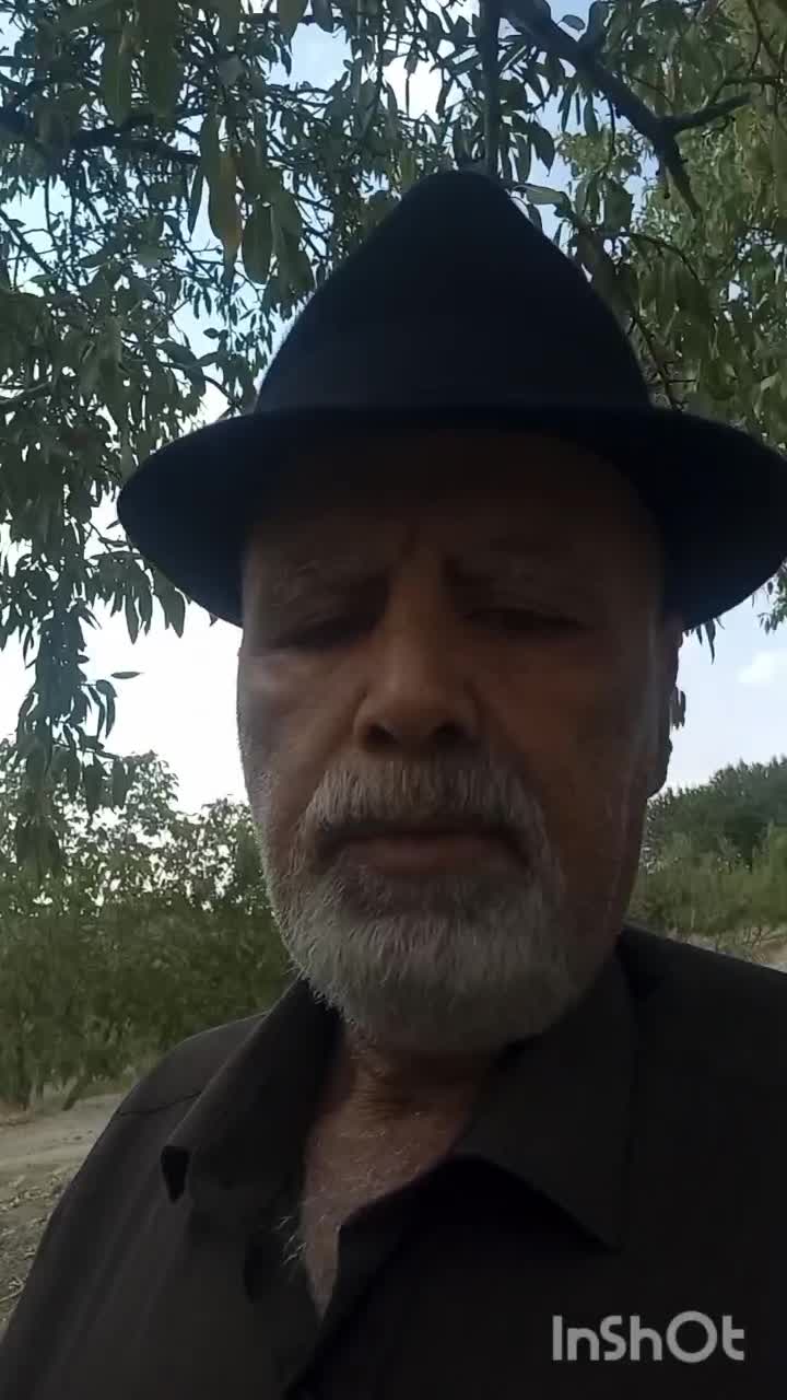 1875متر باغ بادام مامایی مثمر نزدیک پل زمانخان|فروش دفتر صنعتی، کشاورزی، تجاری|سامان, |دیوار