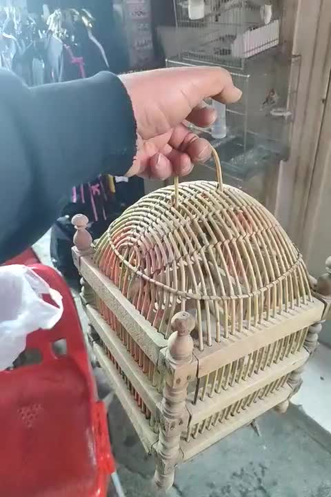 قفس|لوازم جانبی حیوانات|تهران, عبدل‌آباد|دیوار