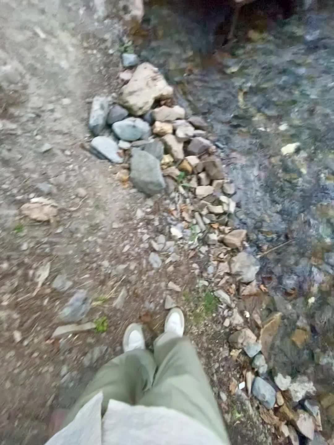 ویلا کاملا جنگلی دربست امن چسبیده به رودخانه درود|اجارهٔ کوتاه‌مدت آپارتمان و سوئیت|نیشابور, فضل|دیوار