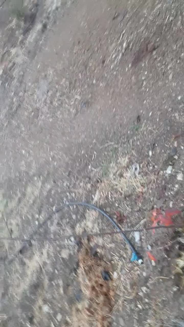 فروش خانه باغ بهترین موقعیت|فروش خانه و ویلا|جوانرود, |دیوار