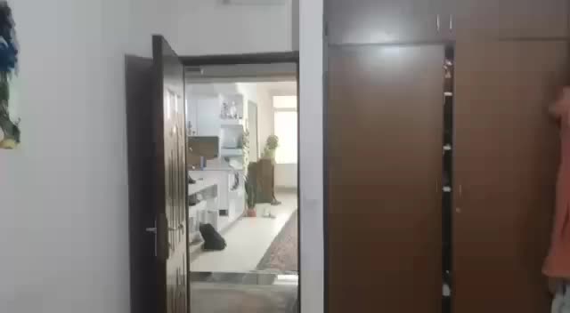 رهن و اجاره آپارتمان|اجارهٔ آپارتمان|شیراز, جوادیه|دیوار