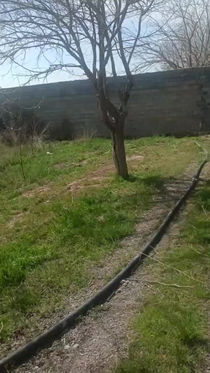 زمین باغی قابل ساخت،نرسیده به فارمد کنار جاده اصلی|فروش زمین و ملک کلنگی|مشهد, تبادکان|دیوار