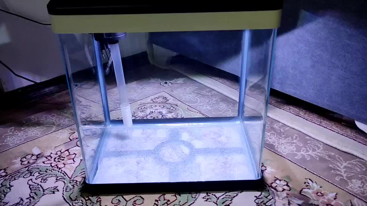 آکواریوم شرکتی|ماهی|پرند, فاز ۵|دیوار