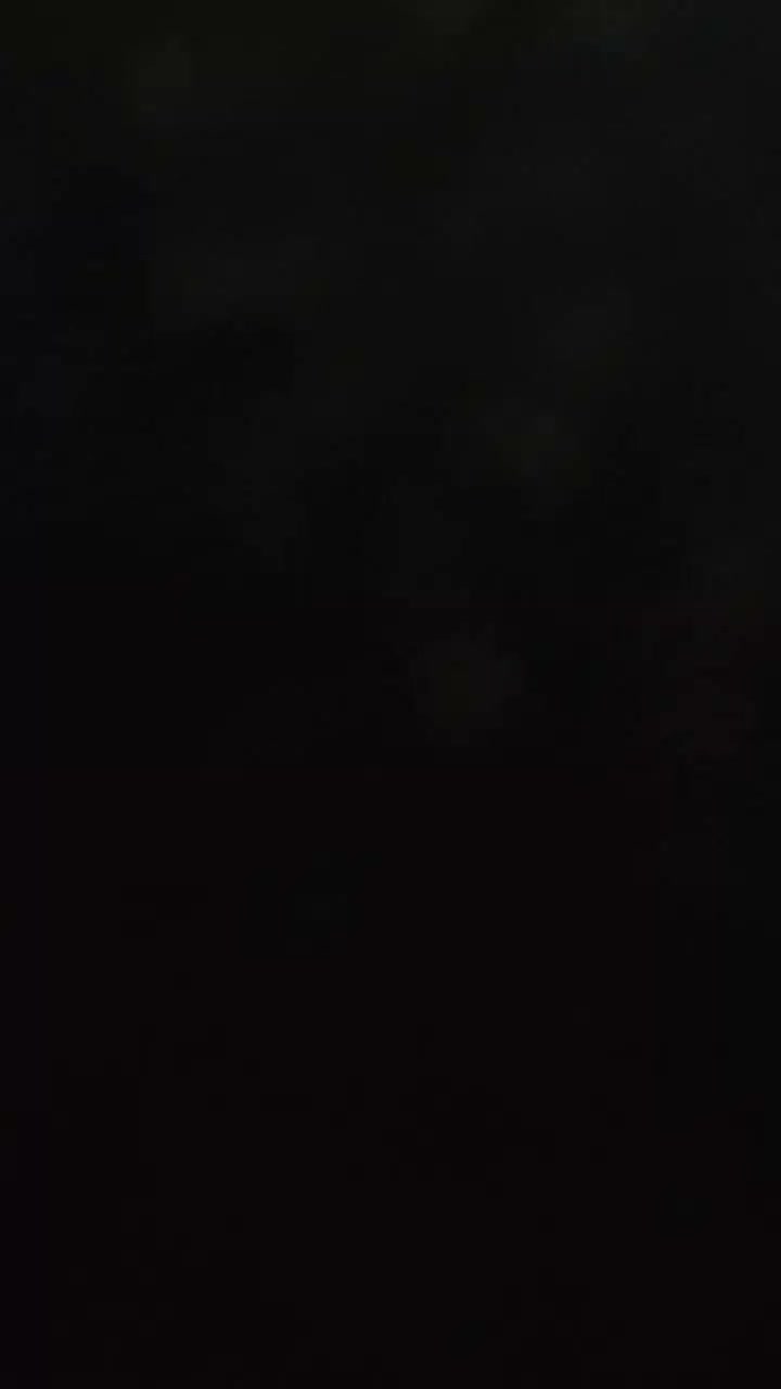 پوشال چوب|لوازم جانبی حیوانات|چهاردانگه (تهران), |دیوار