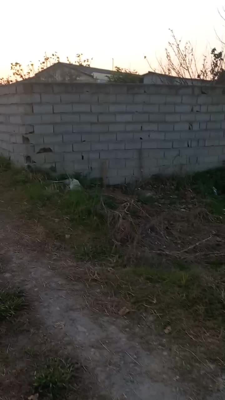 زمین بافت مسکونی جاده آمل فریدونکنار|فروش زمین و ملک کلنگی|دابودشت, |دیوار
