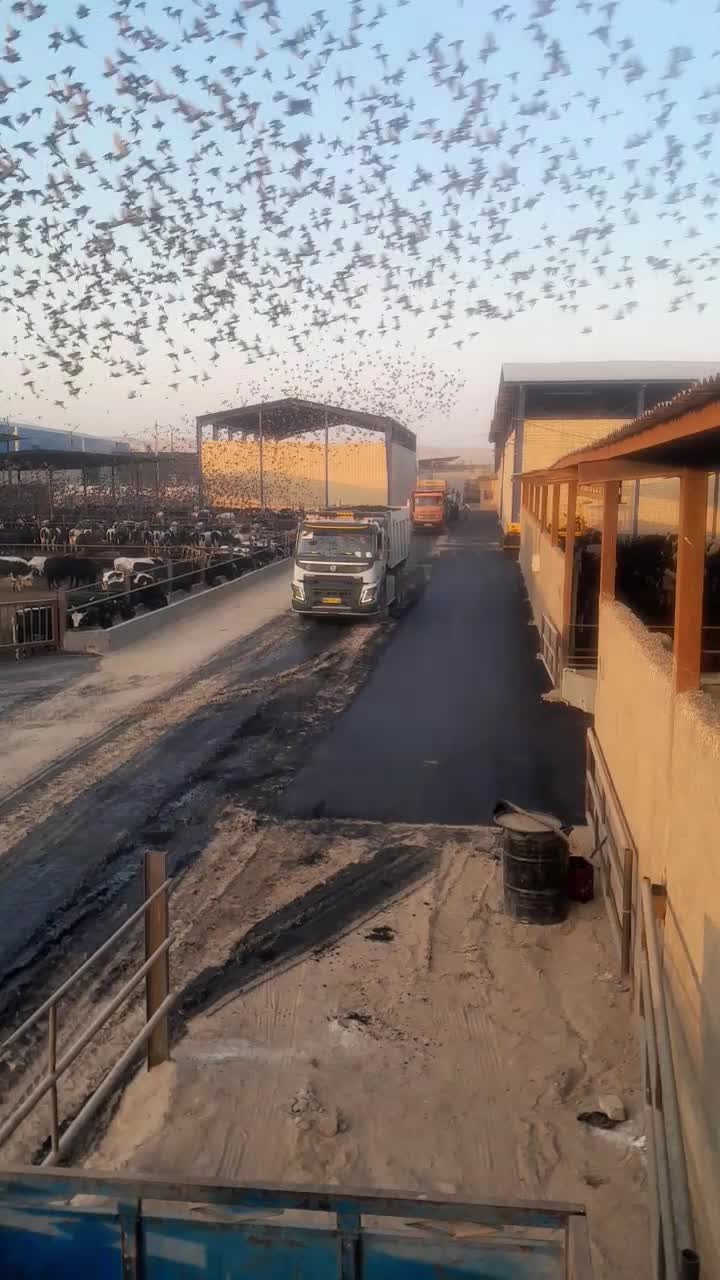 تراشه آسفالت کمترین قیمت بهترین کیفیت نقدواقساط|خدمات پیشه و مهارت|تهران, یافت آباد جنوبی|دیوار