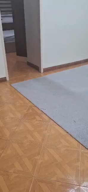 ۶۵ متر دیلمان جنوبی|اجارهٔ آپارتمان|ری, دیلمان|دیوار