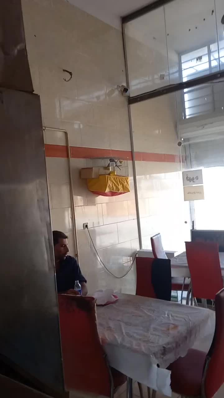 مرغ عشق انگلیسی|پرنده|حمیدیا, |دیوار