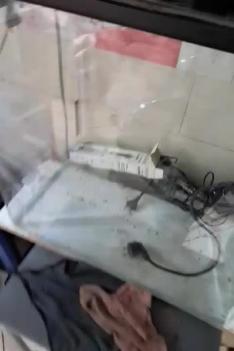 آکواریوم شیشه خم|ماهی|فردیس, سرحدی|دیوار