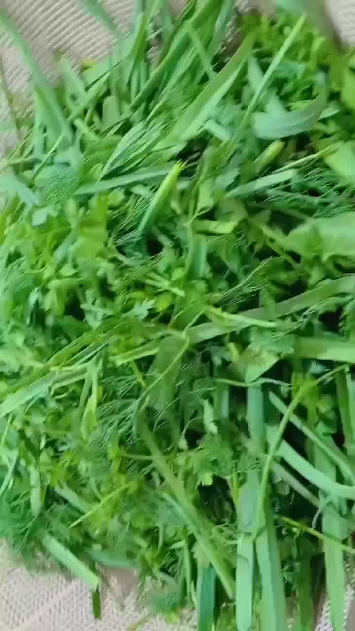 سبزی|خوردنی و آشامیدنی|مشهد, پورسینا|دیوار