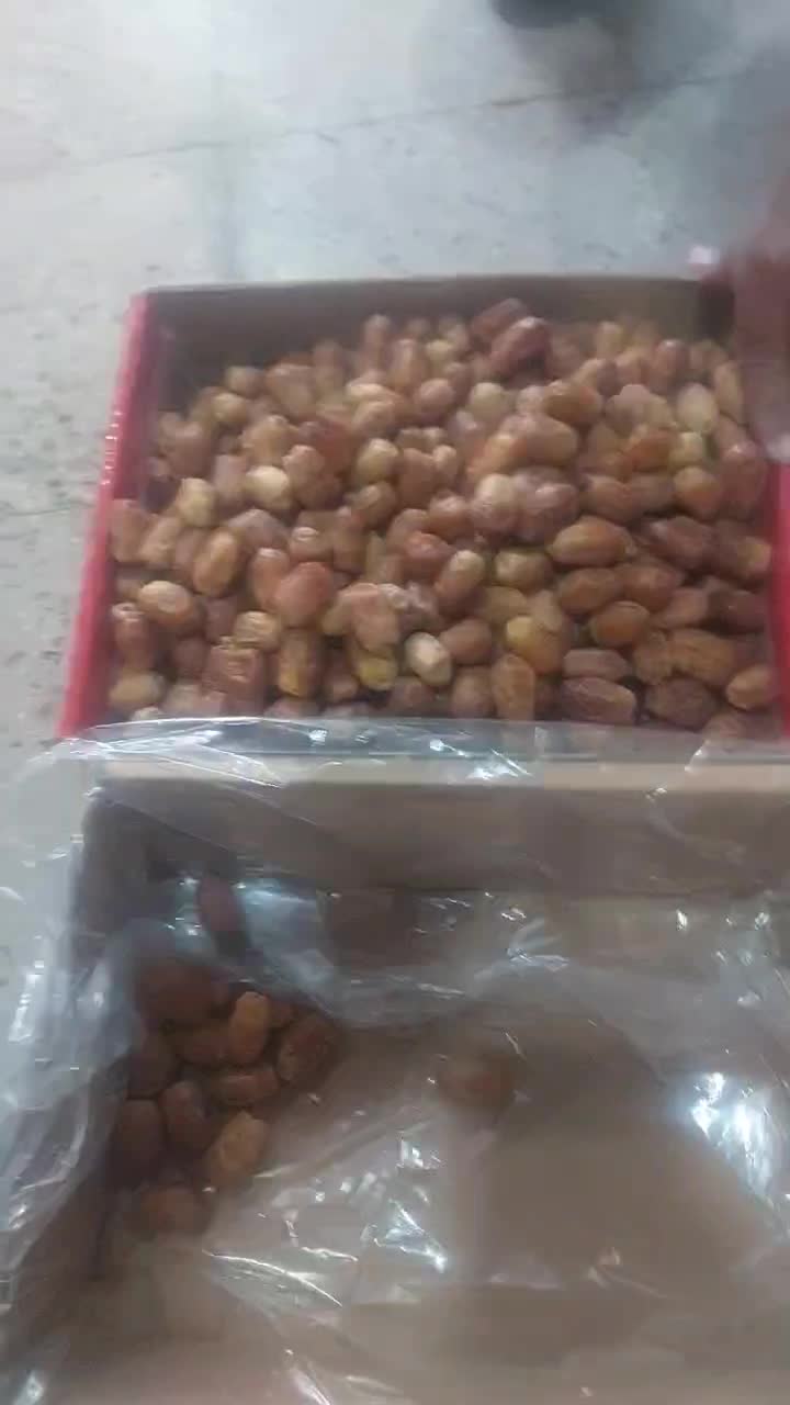 خرما زاهدی(قصب) و ضایعات قصب|خوردنی و آشامیدنی|شیراز, آبیاری|دیوار