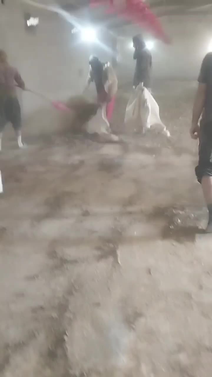 کودمرغی|خدمات باغبانی و درختکاری|سرپل ذهاب, |دیوار