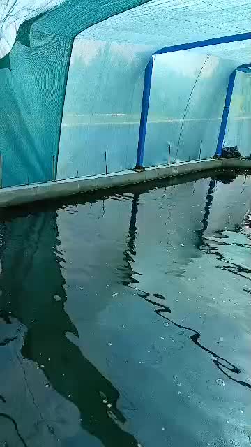 استخر ماهی استخر ذخیره آب مدرسه مکان عمومی و خصوصی|عمده‌فروشی|سمنان, |دیوار