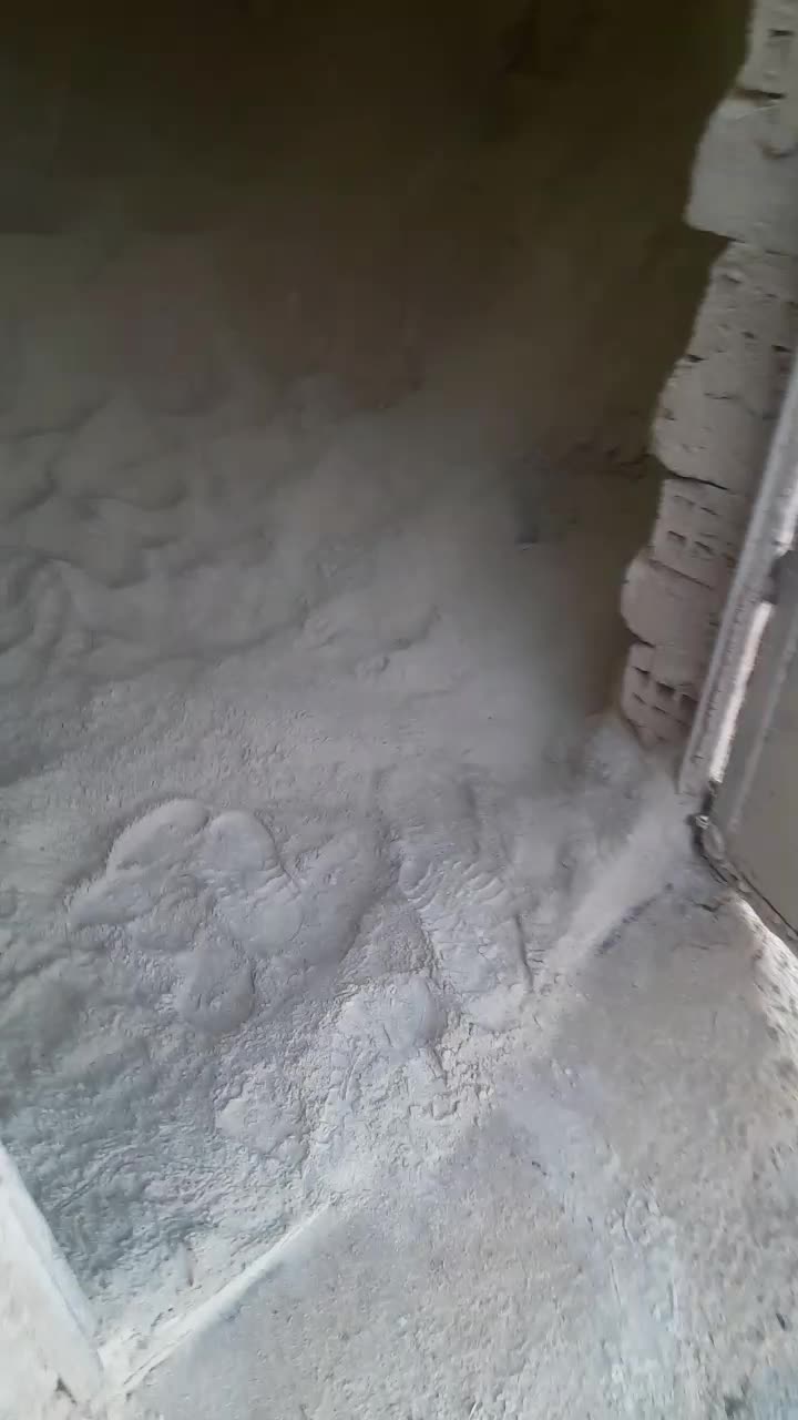 خوراک دام سبوس برنج|لوازم جانبی حیوانات|محلات, |دیوار