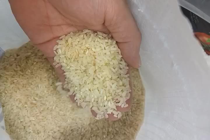 برنج کامفیروزی شیراز|خوردنی و آشامیدنی|اصفهان, صدف|دیوار