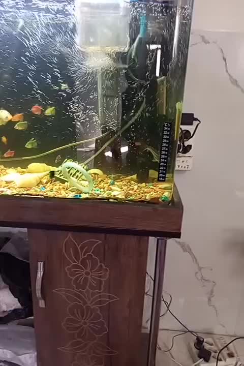 آکواریوم کامل با میز|ماهی|چهاردانگه (تهران), |دیوار