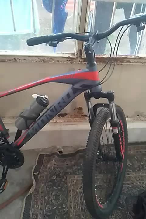 دوچرخه 29|دوچرخه، اسکیت، اسکوتر|قیدار, |دیوار