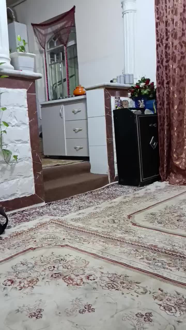 مرغ مینا سخنگو|پرنده|کرمانشاه, |دیوار