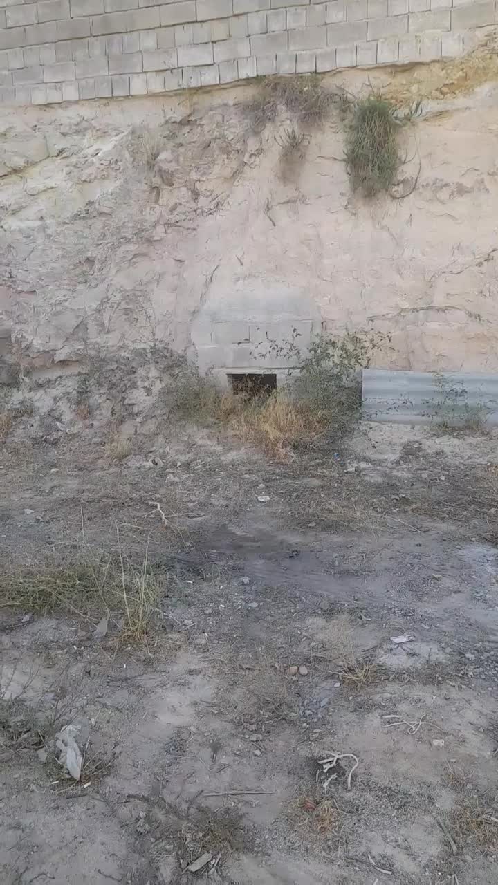 یک قطعه زمین در باسمنج|اجارهٔ دفتر صنعتی، کشاورزی، تجاری|باسمنج, |دیوار