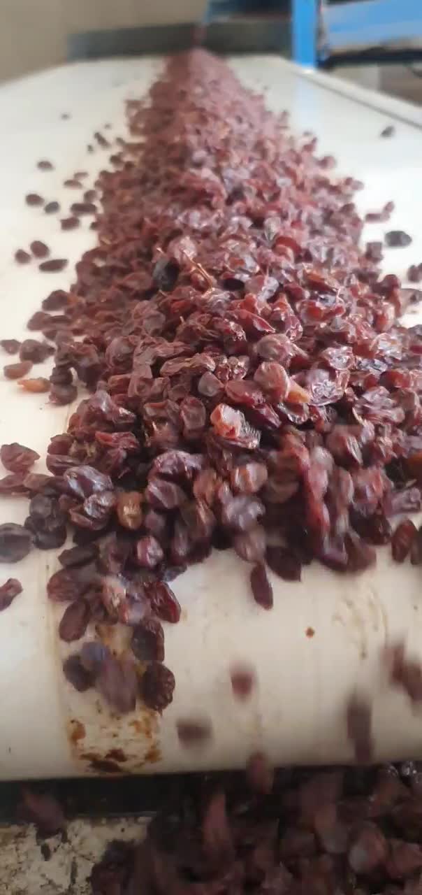 کشمش مویز درجه یک ارسالی به سراسر کشور|عمده‌فروشی|شیراز, بهارستان|دیوار
