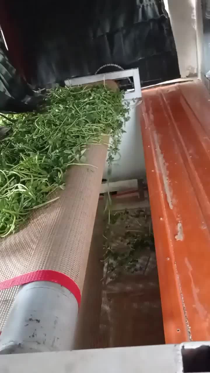 فروش خط شستشویی و  خشک کن کانتینیوس سبزیجات|ماشین‌آلات صنعتی|بادرود, |دیوار