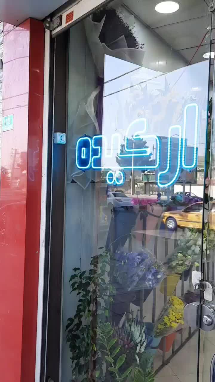 گل ارکیده|گل و گیاه طبیعی|محمدشهر, همایون ویلا|دیوار