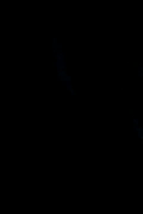 تسبیح شاه مقصود|کلکسیون اشیاء عتیقه|کرمانشاه, |دیوار