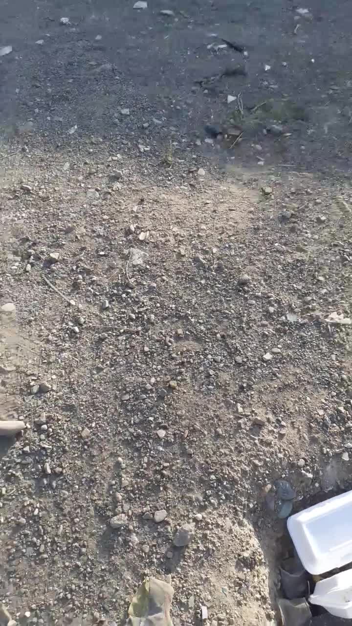 قیام دشت شهرک انقلاب ۱۷۵ متری|فروش زمین و ملک کلنگی|پاکدشت, شهرک انقلاب|دیوار